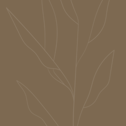 जॉर्ज सैंड के प्रसिद्ध और सर्वश्रेष्ठ उद्धरण