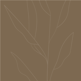 कैथरीन मैन्सफ़ील्ड के प्रसिद्ध और सर्वश्रेष्ठ उद्धरण