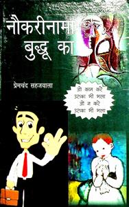 नौकरीनामा बुद्धू का