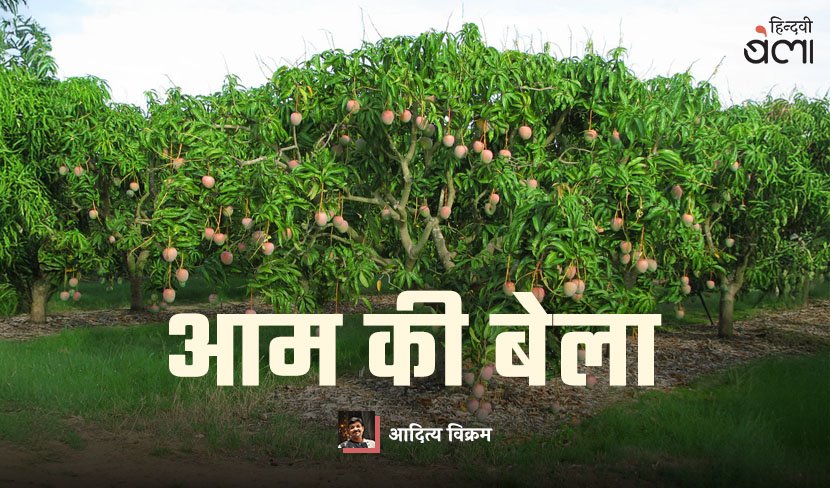 ‘आम की बेला’