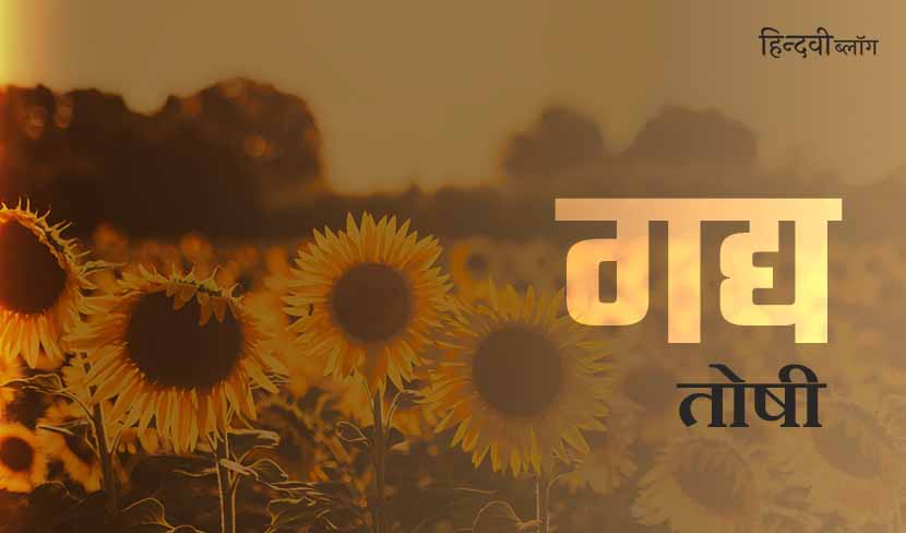 मैंने सूरजमुखी होना चुना है